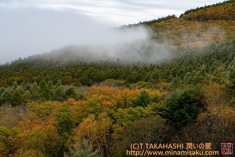 ../Images/7R251019 (248).jpg